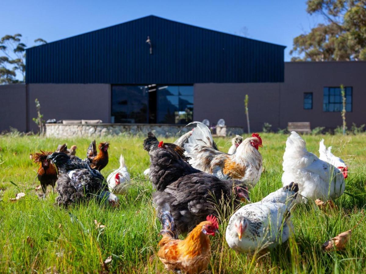 Rivergate Guest Farm Stanford Luaran gambar