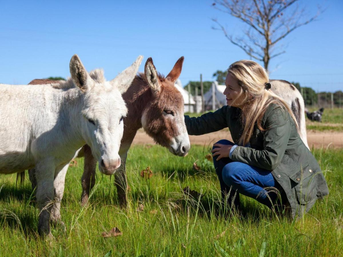 Rivergate Guest Farm Stanford Luaran gambar