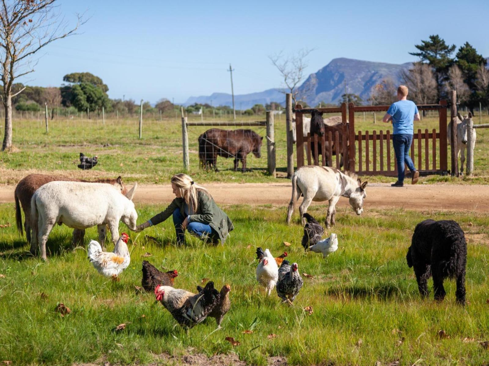 Rivergate Guest Farm Stanford Luaran gambar